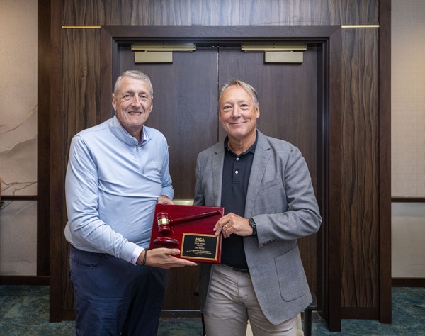 chair and immediate past chair