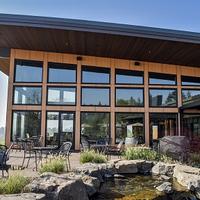 Black Line Glazing 